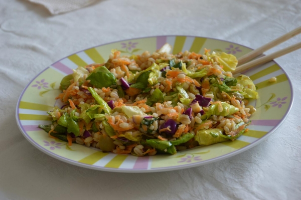 Orzo in insalata