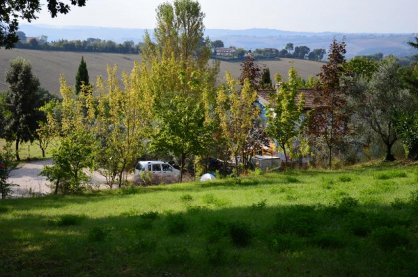 In cucina a Serendipità